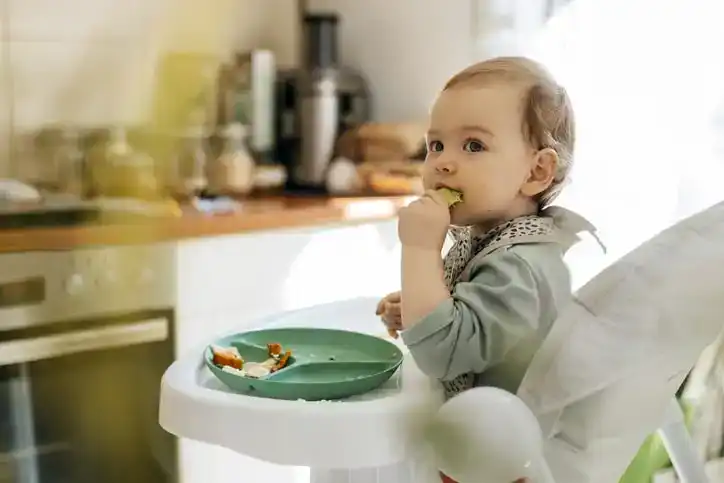 Blond baby girl eating meal while sitting at high chair. Adorable female toddler enjoying baby food. She is at home.
