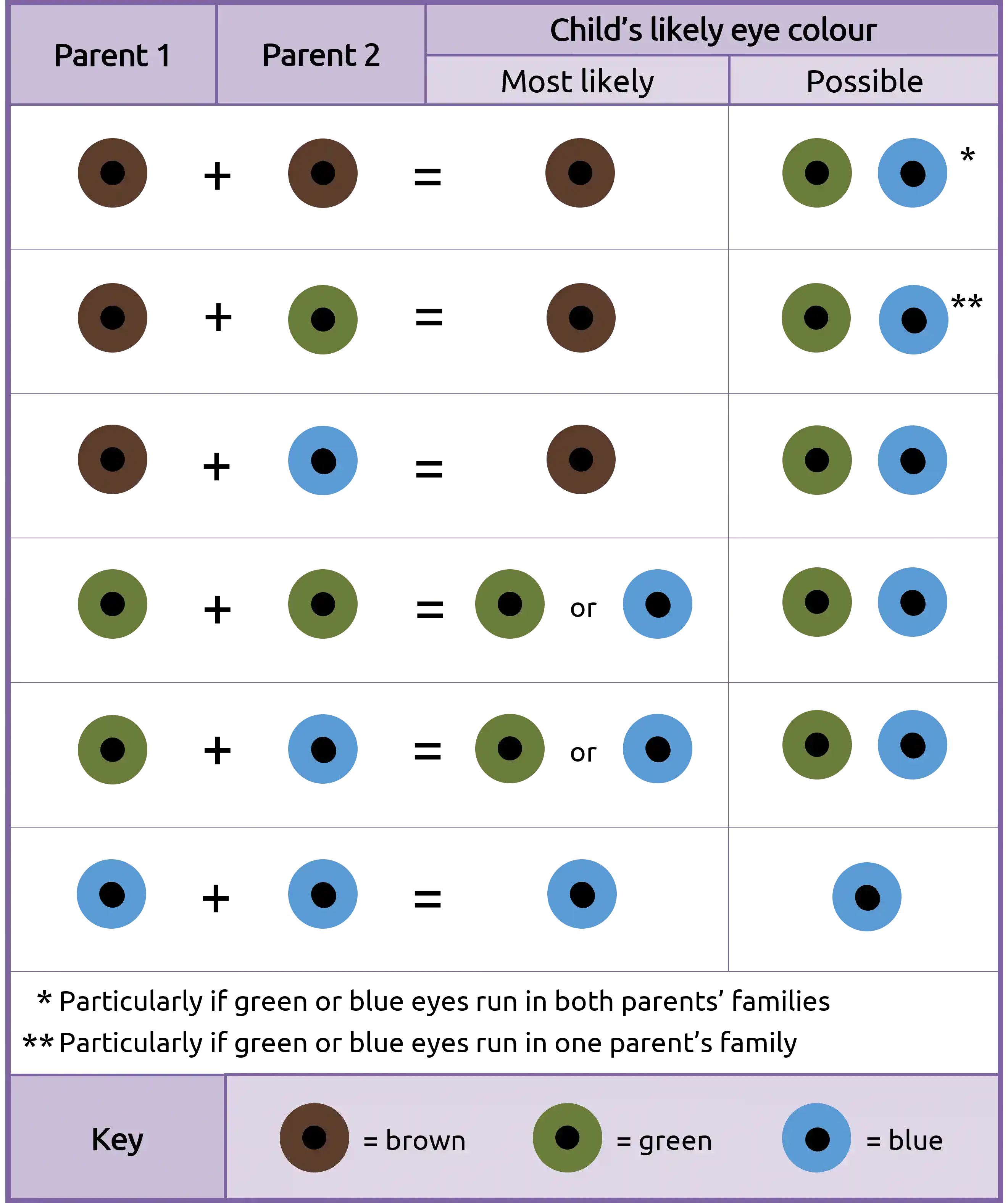 Sandsynlighed for blå øjne: en genetisk forklaring