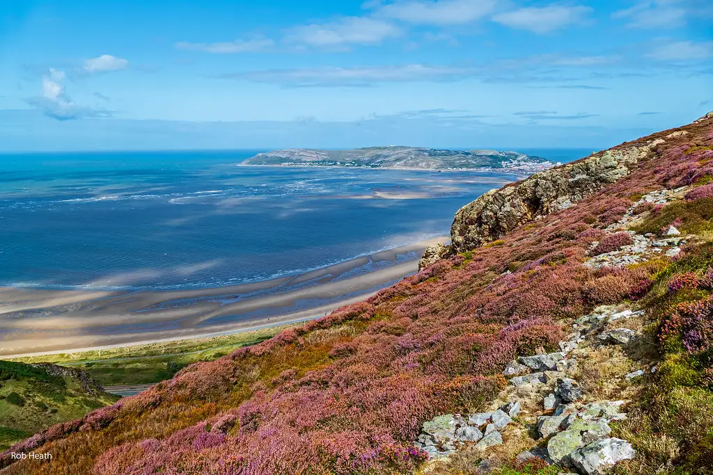Sobrenomes e significados galeses