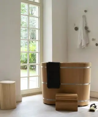 흰색 욕조, 흰색 패널 벽