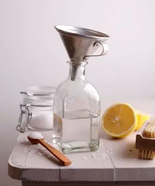 Ako inštalatéri a profesionáli v upratovaní čistia nádržku záchoda octom