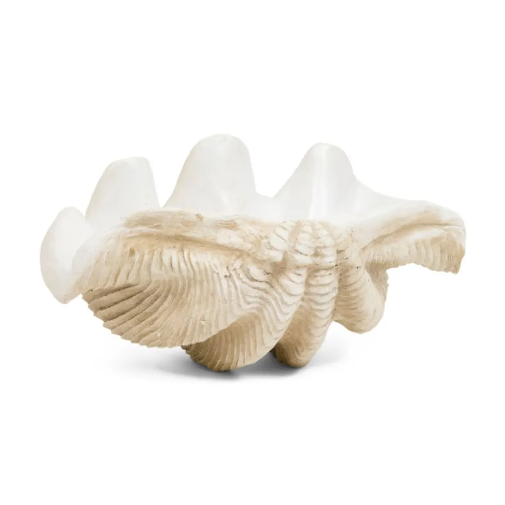 Decoración de cuenco de concha de almeja perlada de 16 pulgadas' loading='lazy' title=