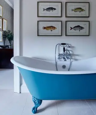 Une baignoire sur pied bleue avec quatre images sur le mur au-dessus