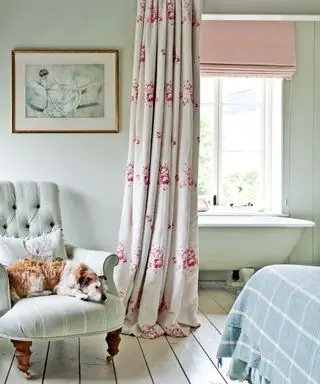 꽃무늬 커튼으로 분리된 중립적인 침실과 욕실, 롤탑 욕조, 덮개를 씌운 안락의자 위의 애완견, 흰색으로 칠해진 바닥판