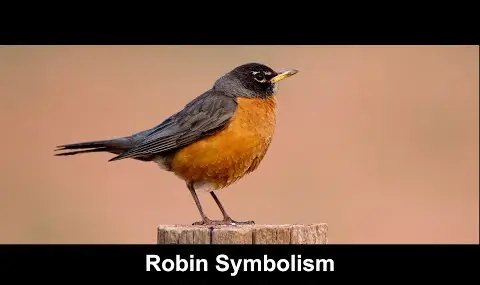 Robin-Symbolik