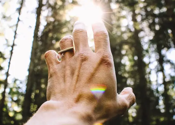 Angel Number 919: Probuzení, nový začátek, nezávislost