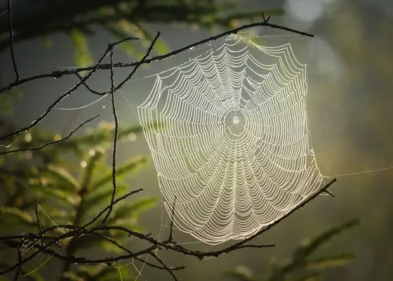 Animal Spirit Aquarium: 15 animales, incluido este signo