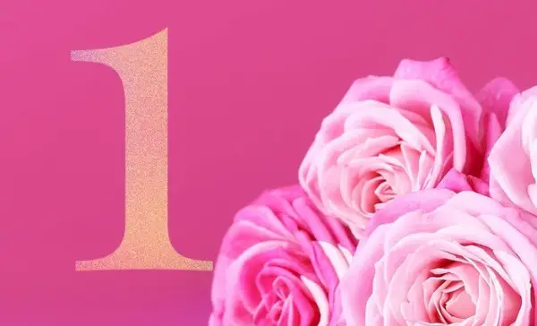 数秘術ライフパス 1 の互換性