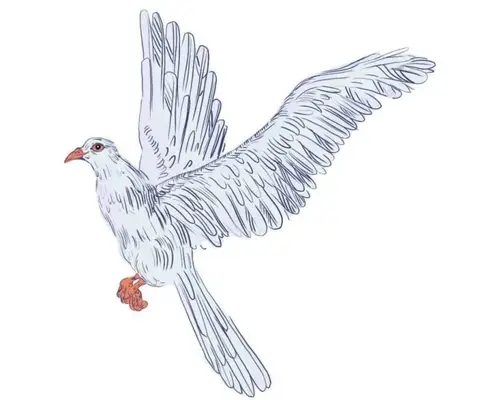 Mythical Creatures - Caladrius