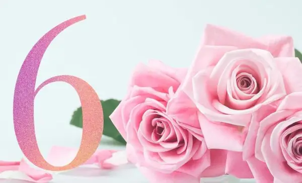 Numerology Life Path 6 の互換性