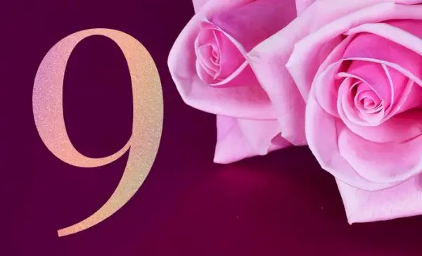 Numerology Life Path 9 の互換性