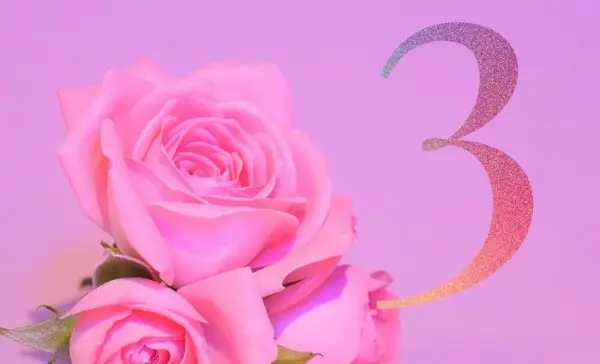 Numerology Life Path 3 の互換性