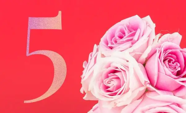 数秘術ライフパス 5 の互換性