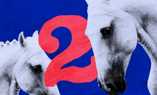 수비학에서 숫자 2의 의미