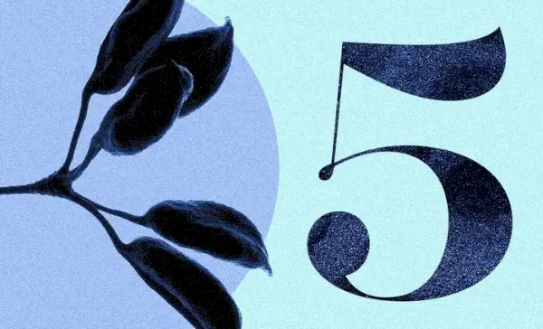 Význam čísla 5 v numerológii