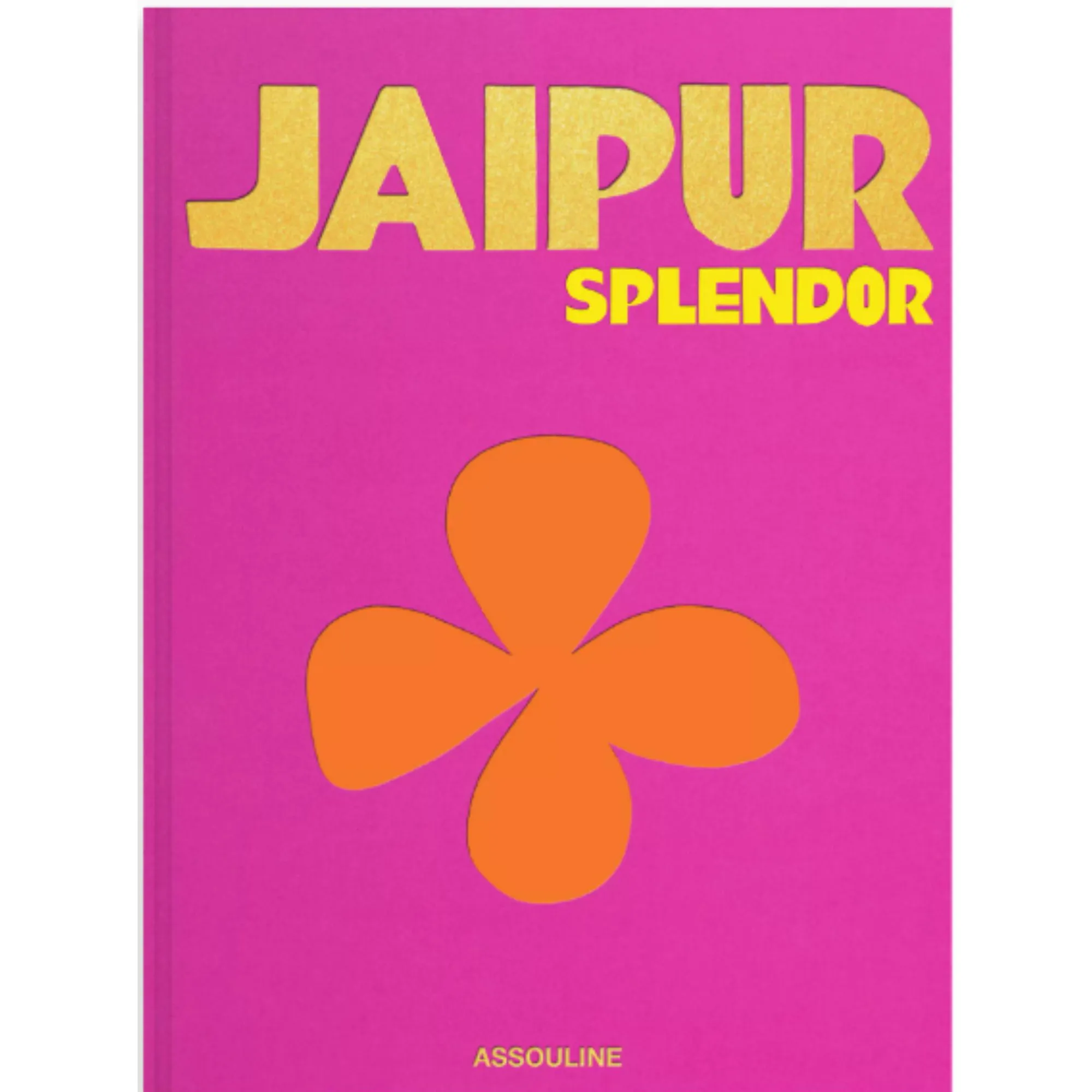 Livre de jaipur' loading='lazy' title=