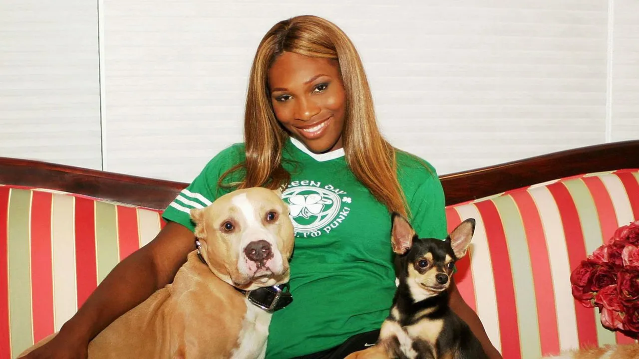 Serena Williams und ihre Hunde auf ihrem gestreiften Sofa' loading='lazy' title=