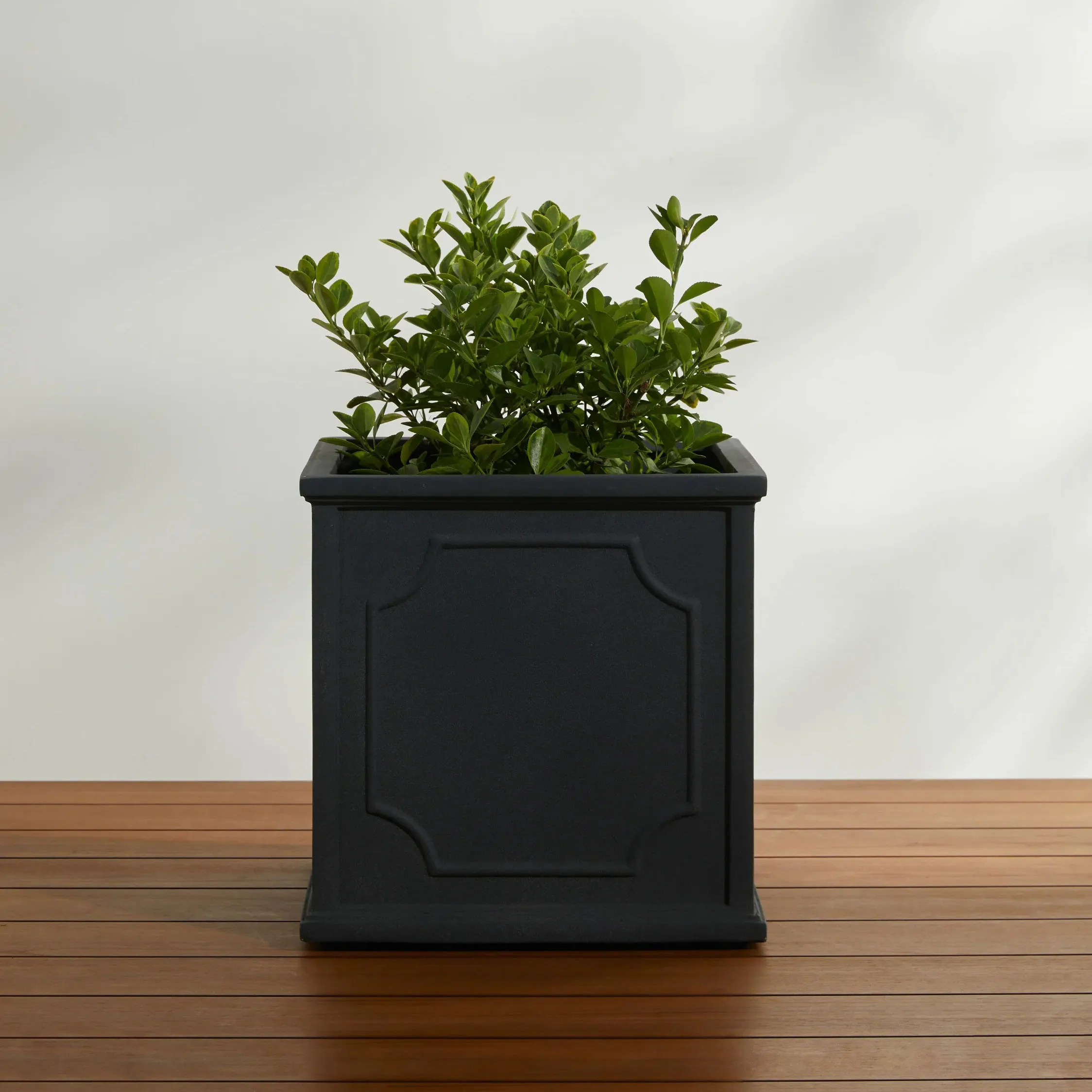 Cumberland Plantter od Campania International' loading='lazy' title=