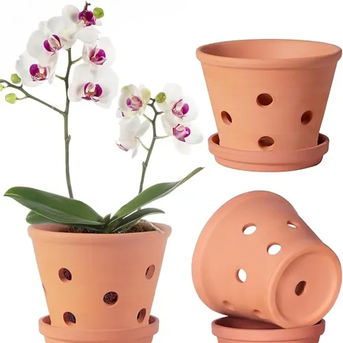 Amazon-Orchideentopf' loading='lazy' title=