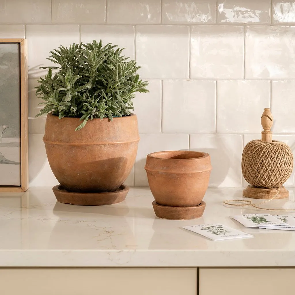 Jardinière Vichy Terre Cuite' loading='lazy' title=