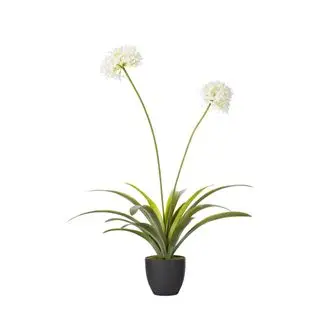 fausses fleurs d'OKA