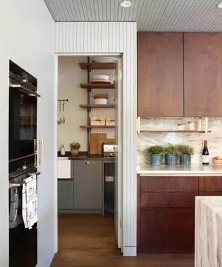 Stanley Tucci a une deuxième cuisine cachée – et Robert Downey Jr. nous a fait visiter