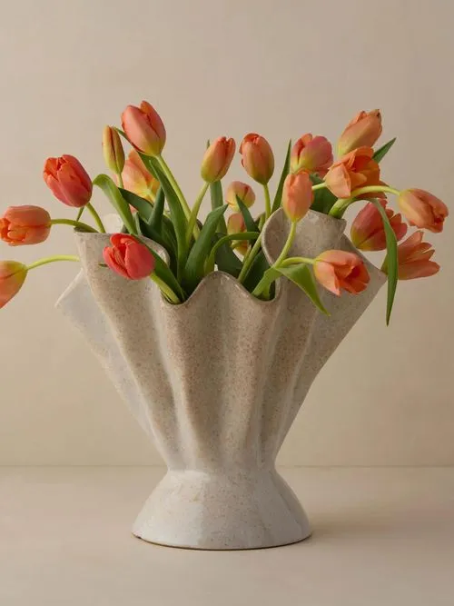 אגרטל דרסיה' title=