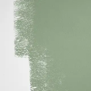 Florence Pugh a instantanément rehaussé son espace de vie rustique avec cette teinte fraîche d'inspiration vintage