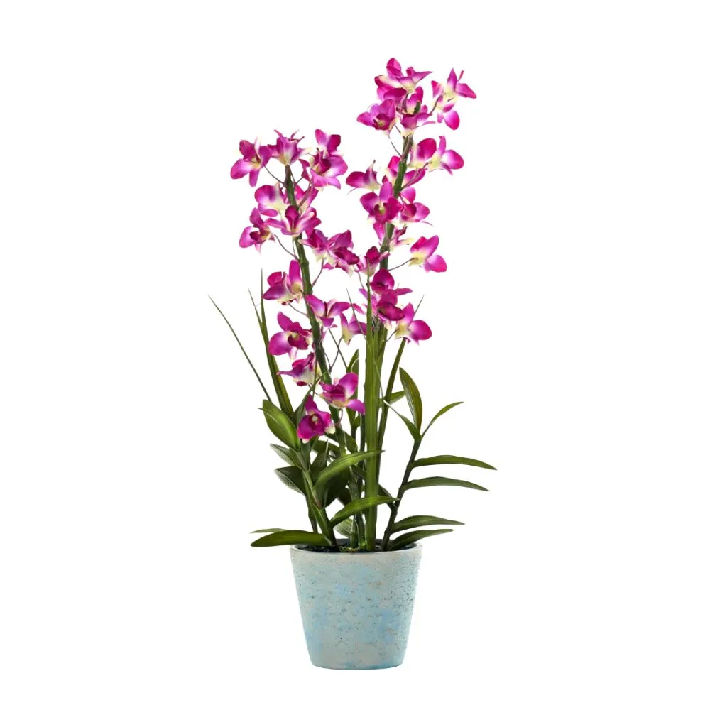 냄비에 가짜 보라색 난초' loading='lazy' title=