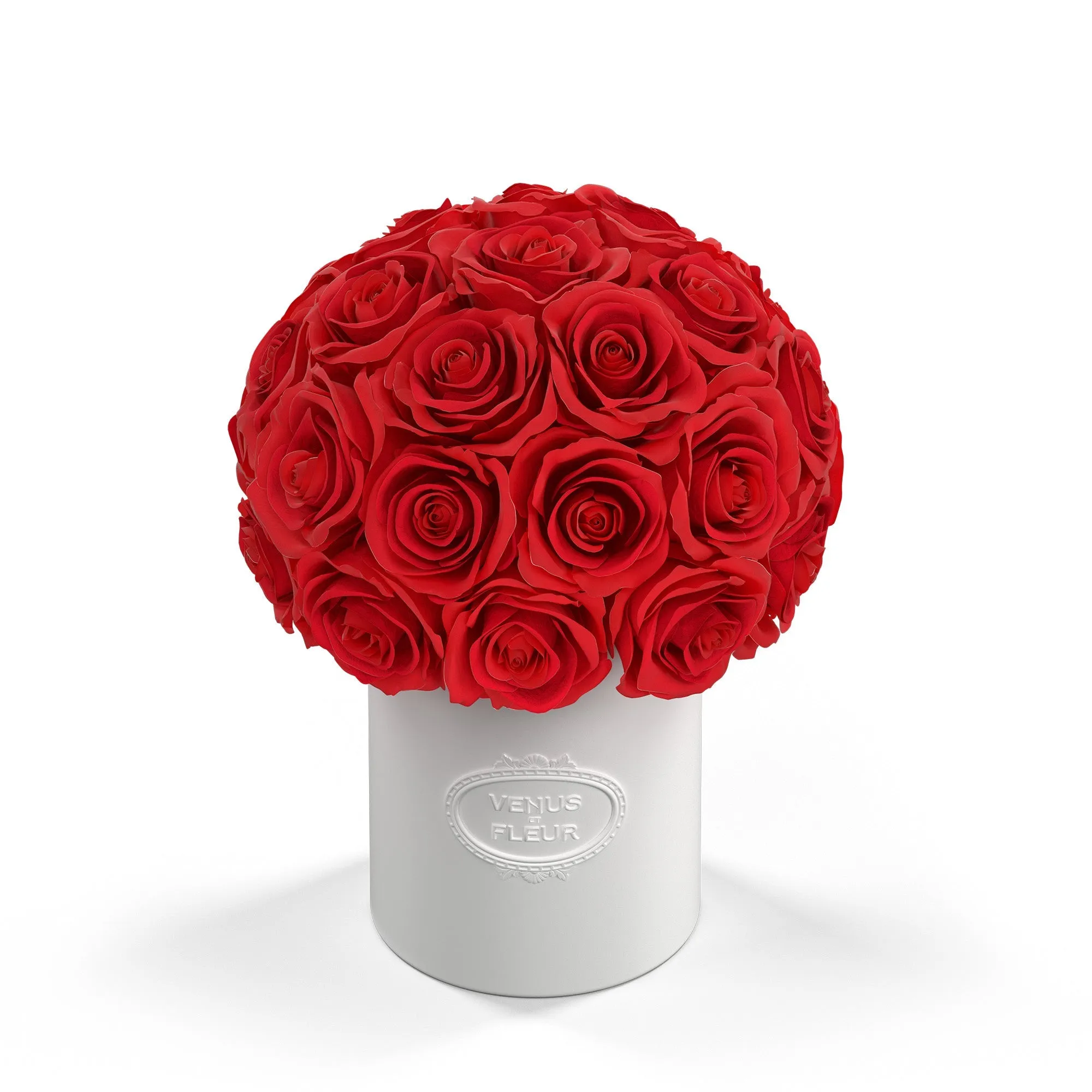 Rosas / Rojo' loading='lazy' title=