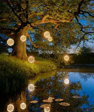 호수 위에 나무에 야외 크리스마스 조명