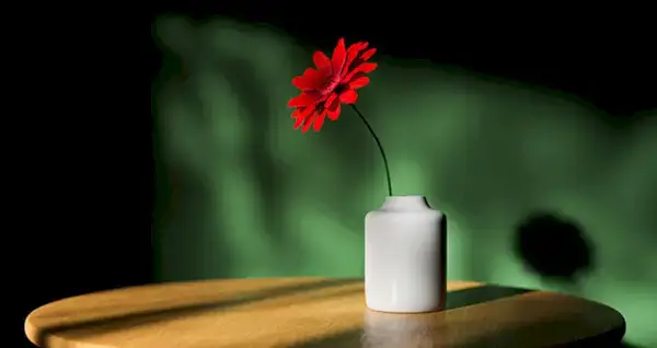 נסה את אתגר Declutter של 30 יום