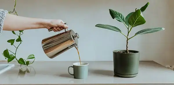 Hvordan lage en daglig rydderutine