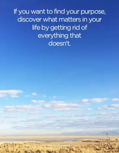 Derrote el desorden que frustra su propósito