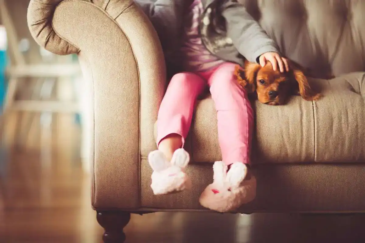 Little girl on couch