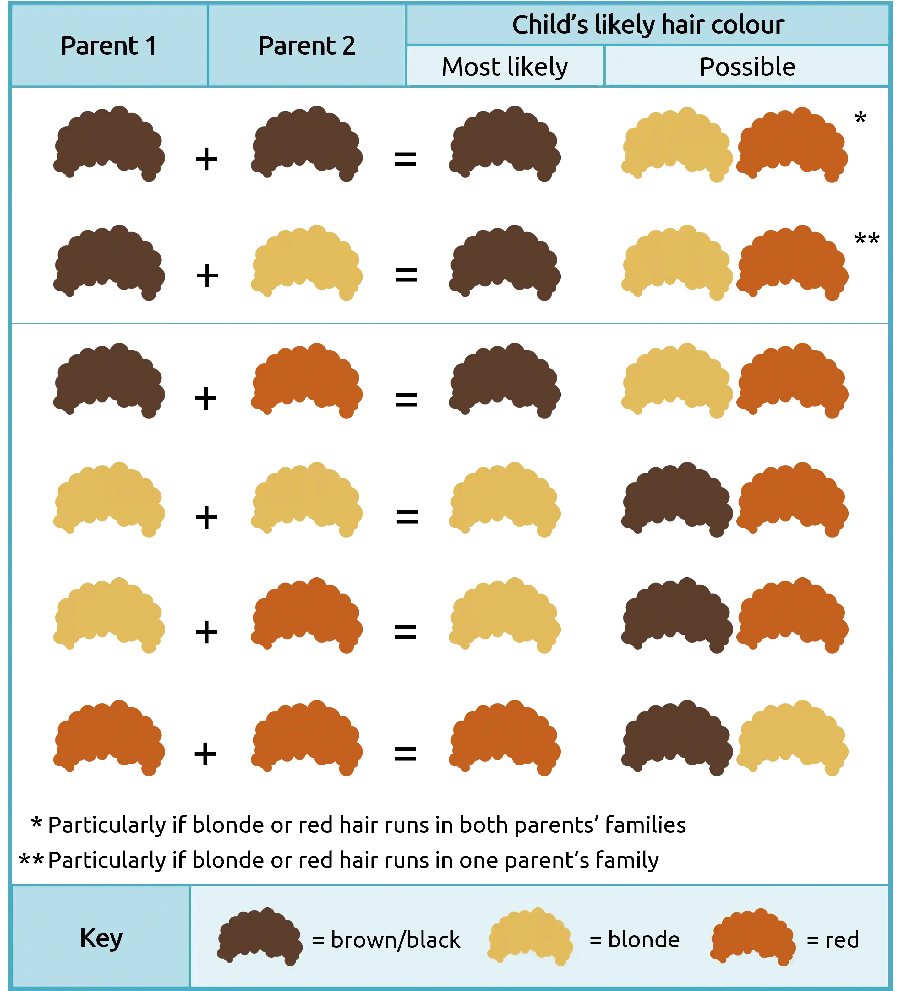 Hvilken farve får mit barns hår? (En guide til hårfarvegenetik)