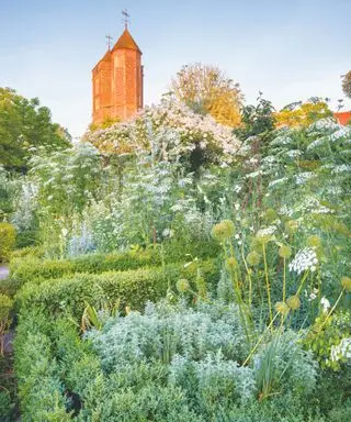 O Jardim Branco em junho no Sissinghurst Castle Garden, Kent.