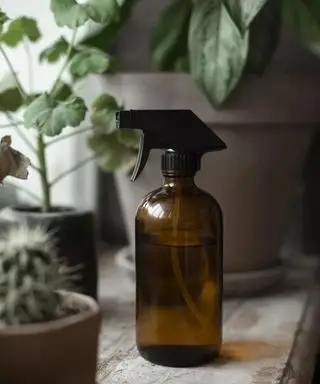 un flacon pulvérisateur marron