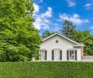 家の前のイボタノキの生垣