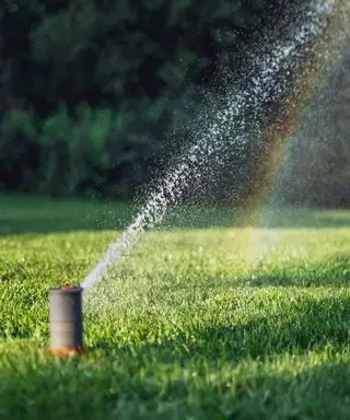 arroseur sur pelouse