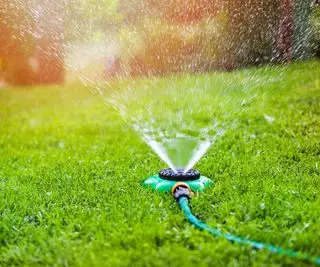Por quanto tempo você deve regar um gramado? Conselhos profissionais sobre os horários ideais