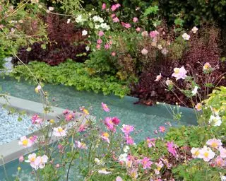 מאפיין מים עם סלעים וחלוקי נחל