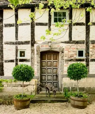 Fjederdørsindretning med lysarmatur