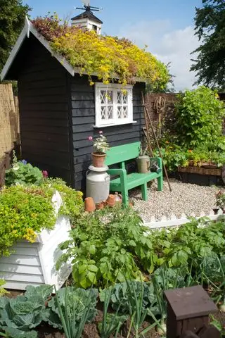 jardin familial coloré avec toit végétal