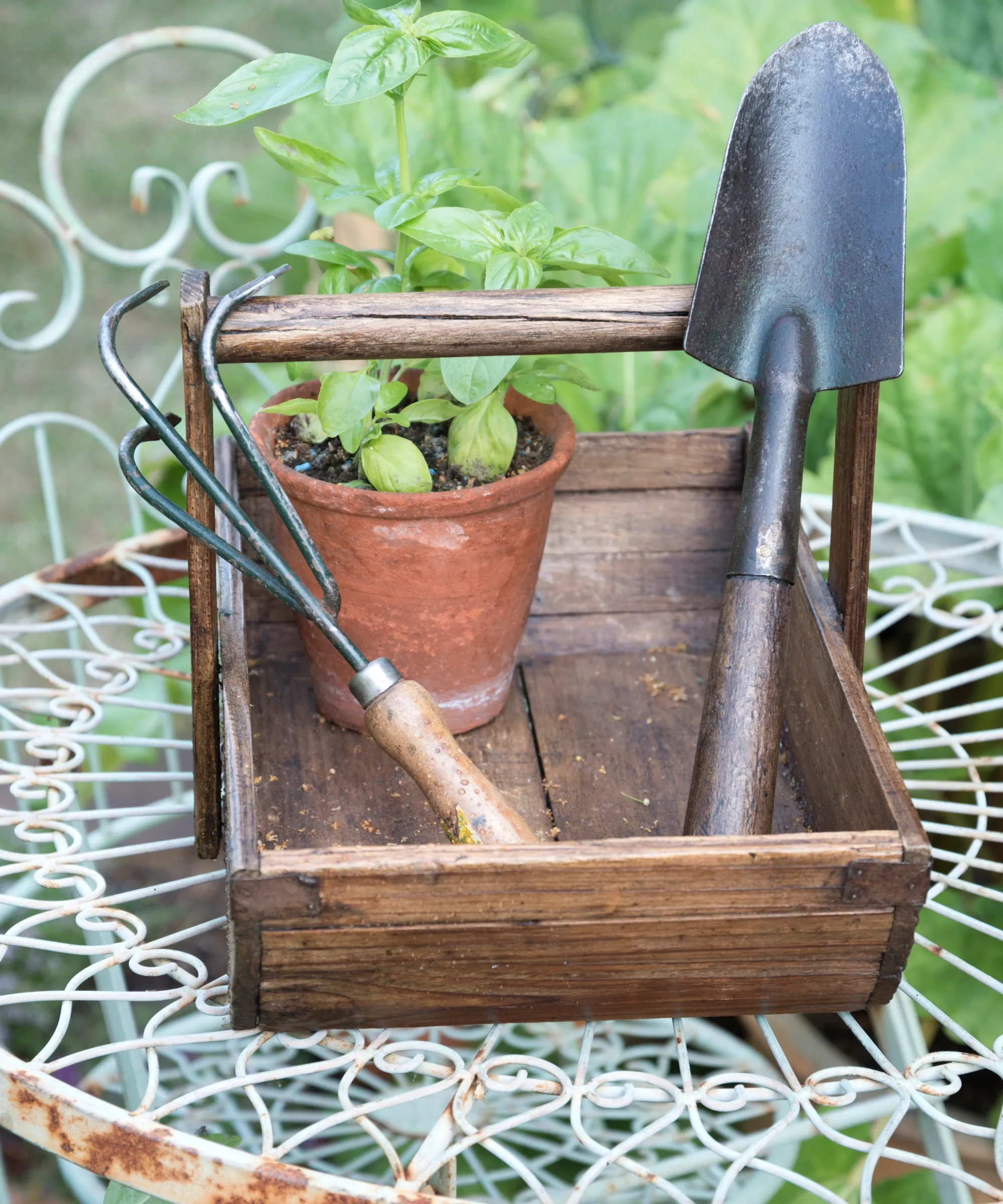 Uma espátula e um cultivador num cesto de madeira sobre uma mesa de metal' loading='lazy' title=