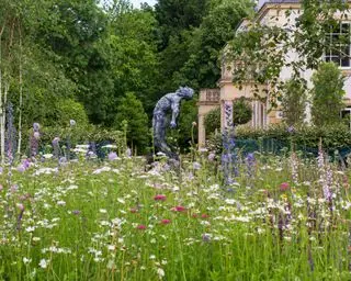 prairie de fleurs sauvages avec statue au-delà dans un jardin conçu par The Garden Design Company