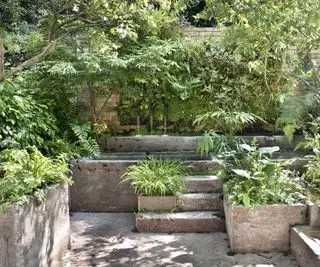 Meilleurs arbustes pour l’ombre – options inspirantes pour le parfum, la haie et la couleur saisonnière