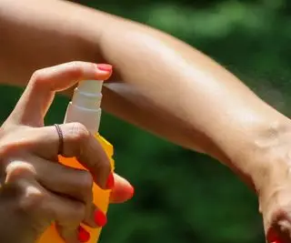 Comment fabriquer un anti-moustique – les recettes maison préférées des experts en lutte antiparasitaire, sans produits chimiques