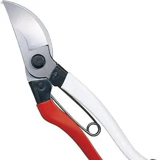 Amazon beskjæringssaks