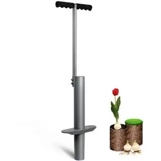 Walmart pæreplanter